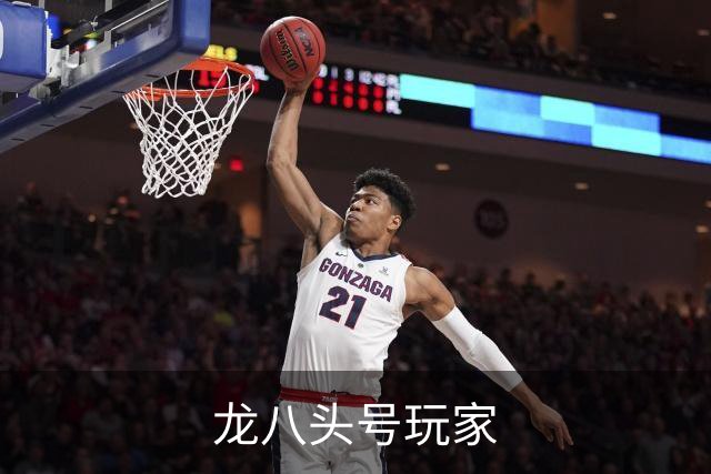 龙八头号玩家公司简介图片